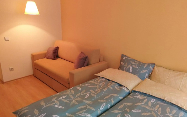 Studio Villa Park 207