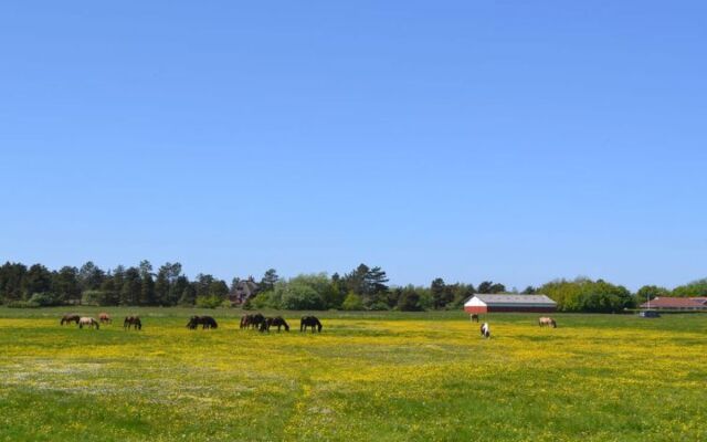 "Ljubinka" - 2.3km from the sea in Western Jutland