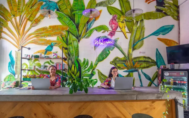 República Hostel Santa Marta