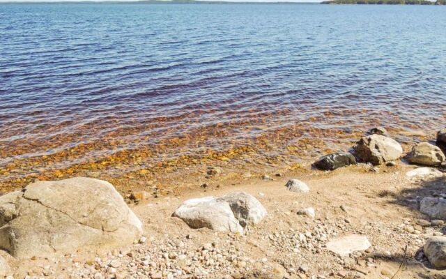 Pielislinna/loma-koli