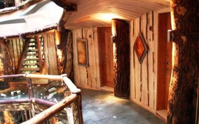 Huilo Huilo Nothofagus Hotel & Spa