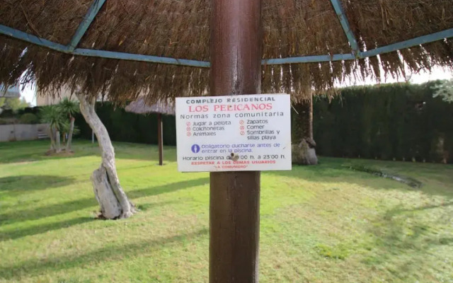 Los Pelicanos