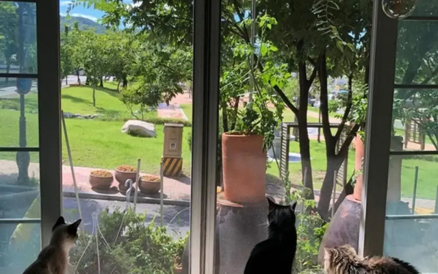 Gyeongju Pyeonggwanhun Guest House