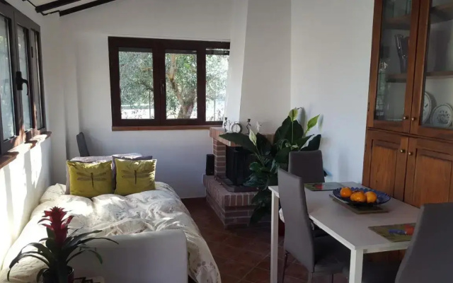 The Orchard House