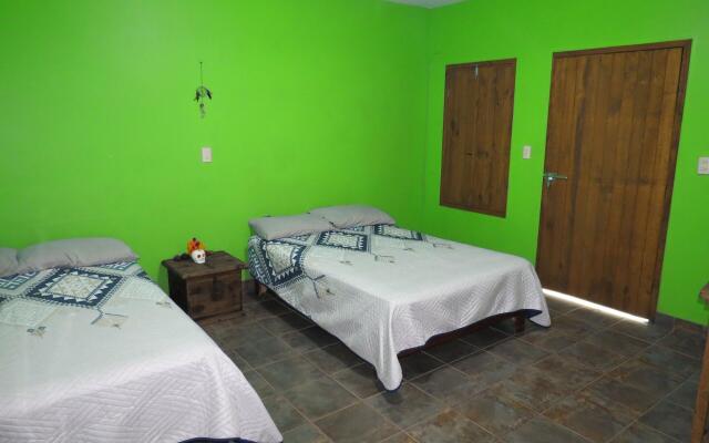 Casa Verde Xilitla by Rotamundos