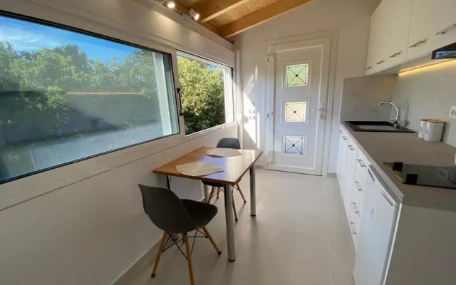Alexander studio