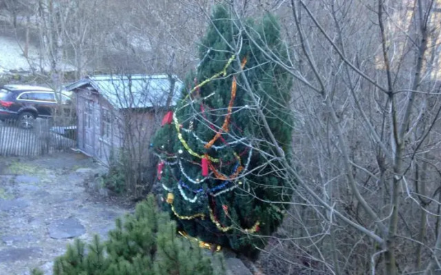 Chalet La Cabotine
