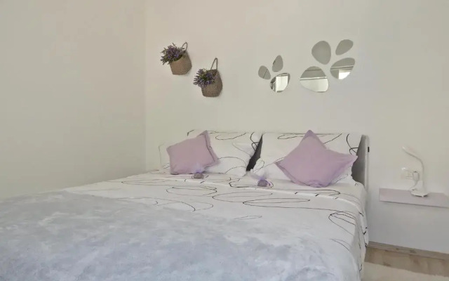 Lavander Apartments
