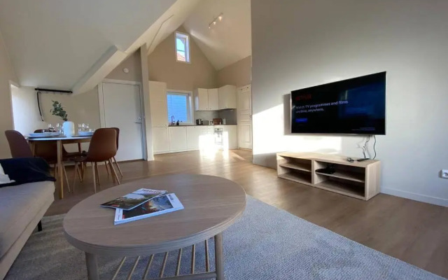 Unique and Spacious Apt close to City Centre