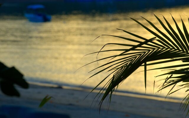 @ Samui Haus