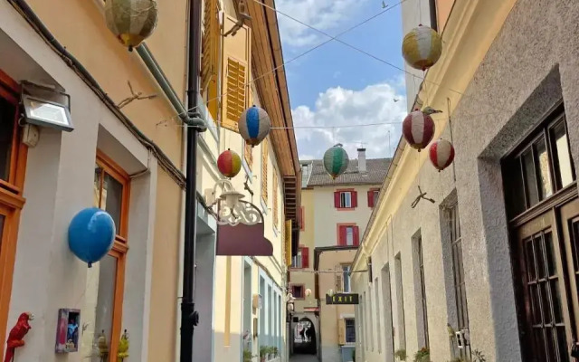 Rosa Apartment with parking historic city center
