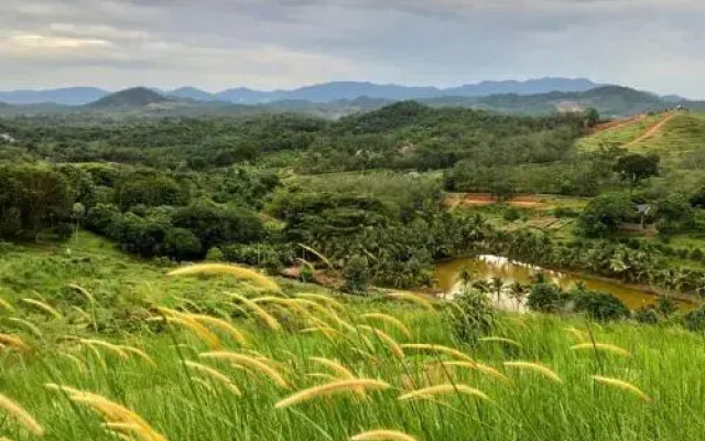 Orchard Wellness Safari Suites