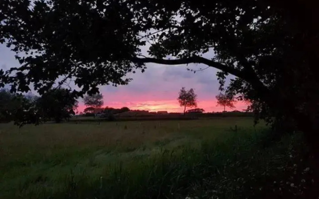 Bed & Coffee Maricoweg