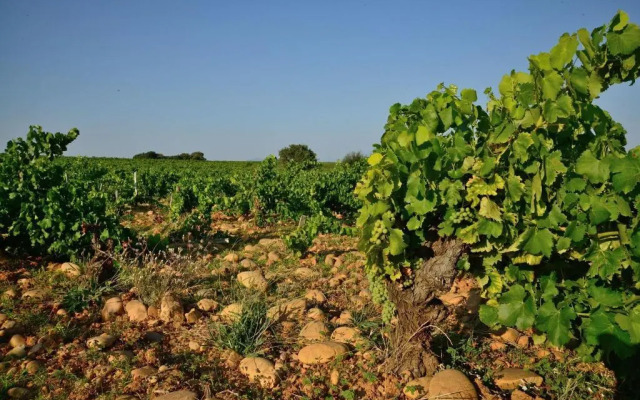 ibis budget Bollène