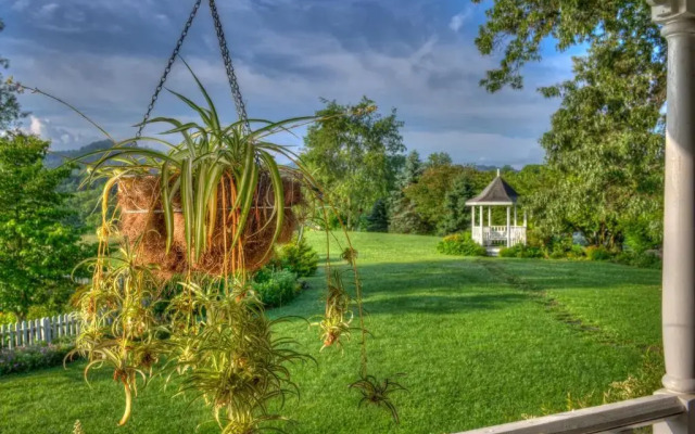 Blue Mountain Mist Country Inn & Spa