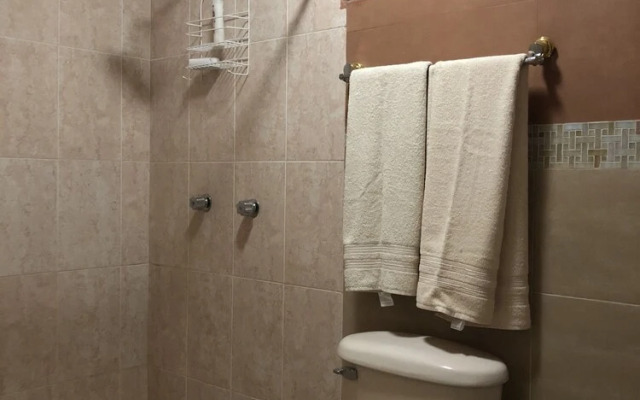Adamaris Condo Condesa