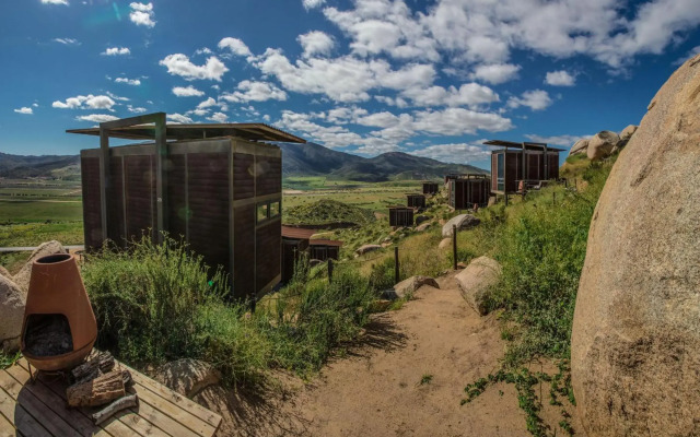 Encuentro Guadalupe