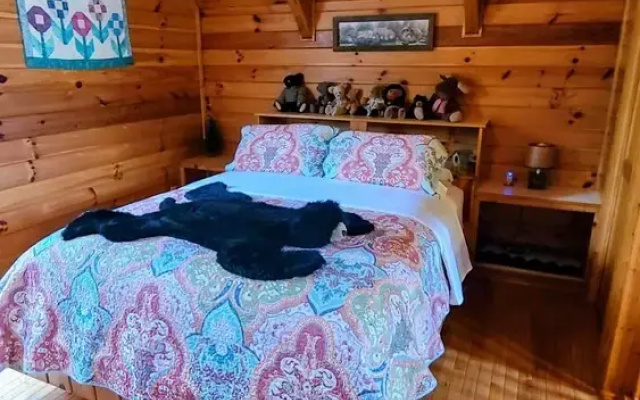 Blue Ridge Parkway Cabin Rentals