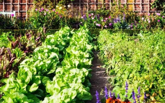 Roulotte de Florette