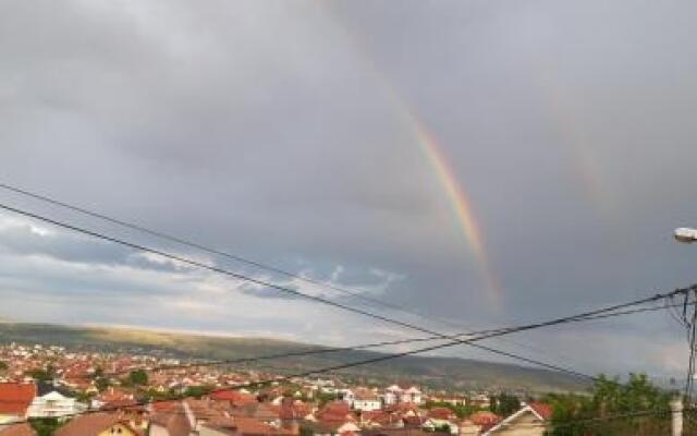 Green House Alba Iulia