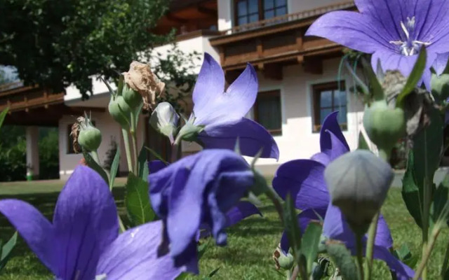 Ferienwohnungen Christine