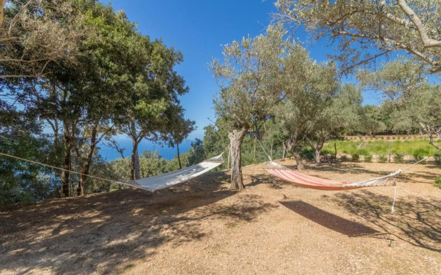 Valldemossa - 281388