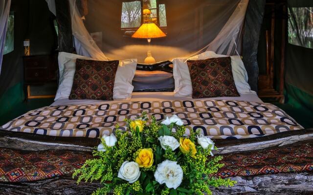 Aruba Mara Bush Camp