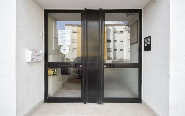 Pontinha Typical by Homing