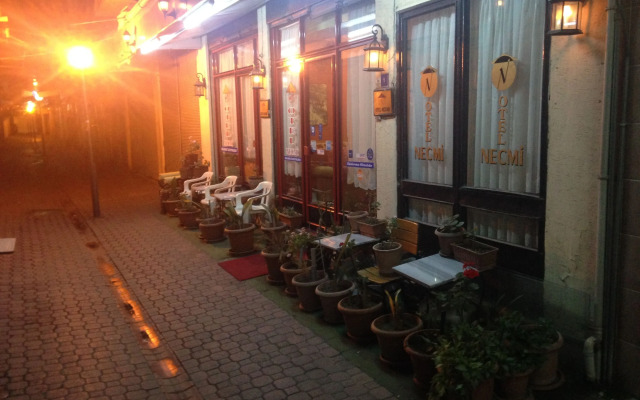 Hotel Necmi
