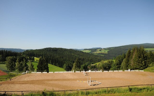 Der Ponyhof Familienhotel & Reitstall