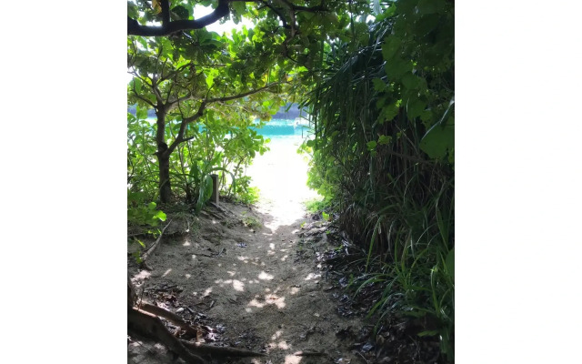 Old American House K-113