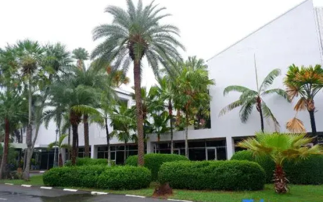 Saenpalm training home