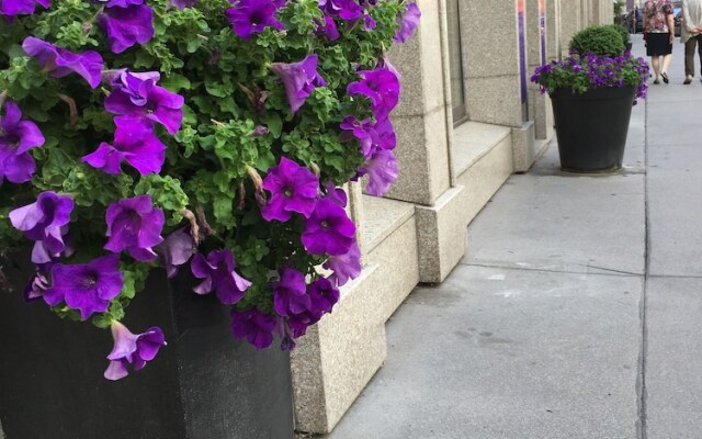 City-center apartment