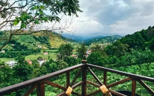 Greenlife Dag Evleri