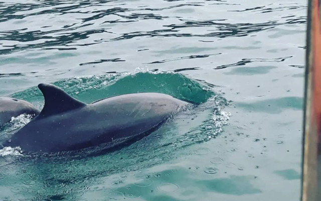 Luxurious underfloor heated Yurt with Hot tub