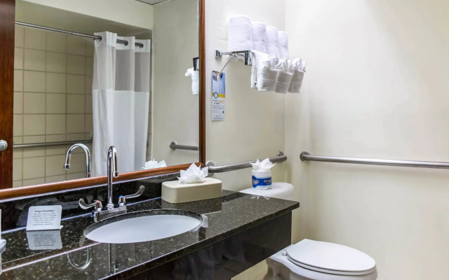 Comfort Suites Tampa - Brandon