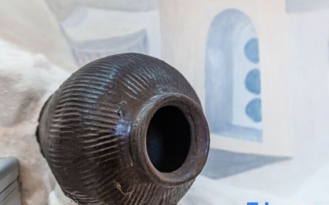 The Taste of The Sea Guesthouse