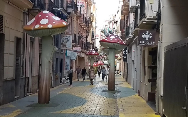 La Estrella de Alicante