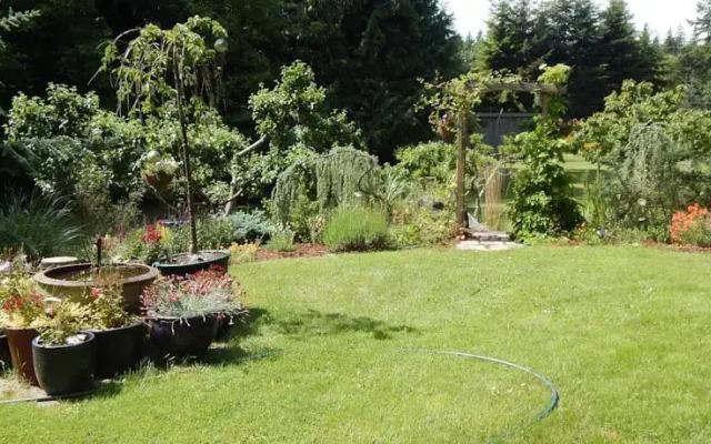 Green Cat Guest House