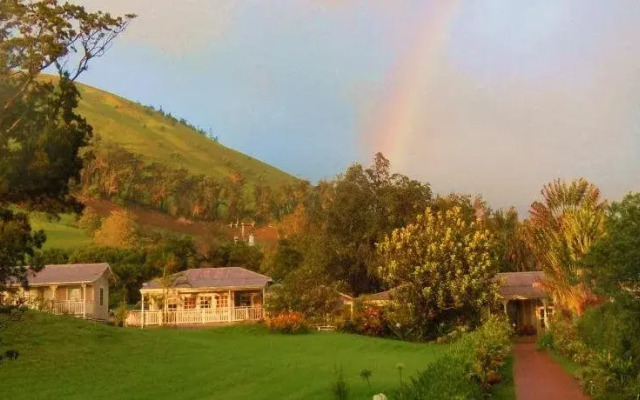 Jacaranda Inn