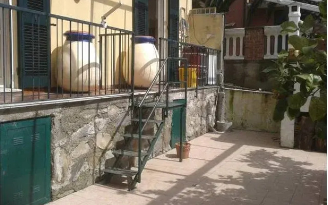 Cicale Di Mare