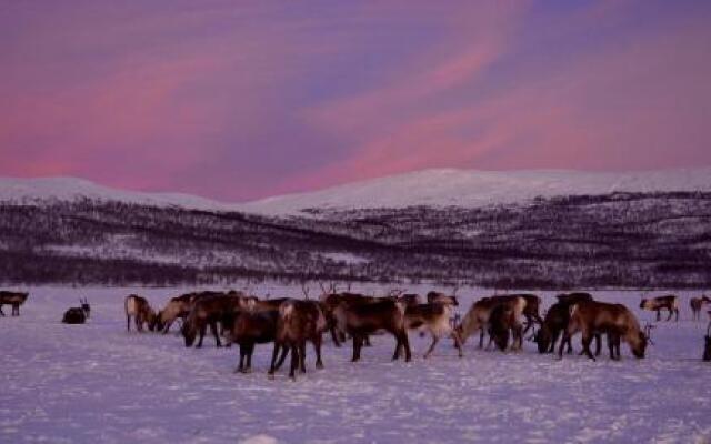 Kilpisjärven Tunturimajat