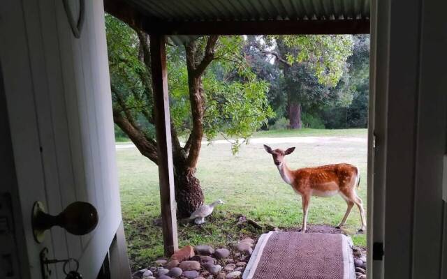 Green Hills Forest Lodge