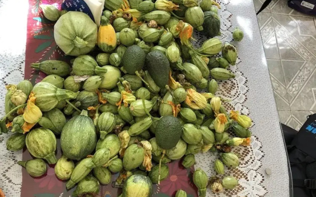 Hotel Boutique Calderon