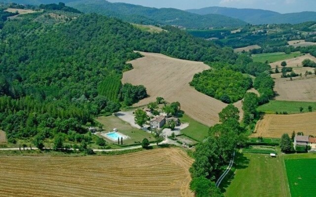 Il Pavone