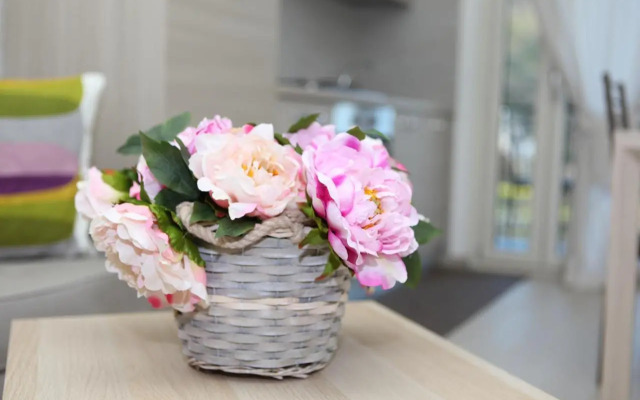 Rosy House - Hospitality