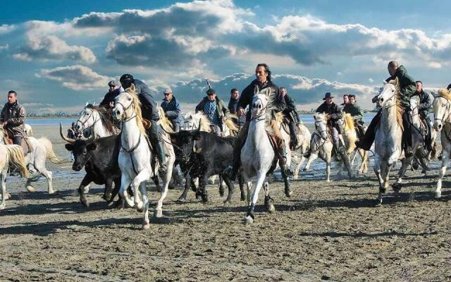 Hôtel Le Neptune en Camargue