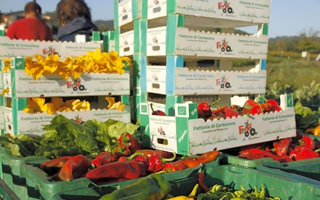 Fattoria Di Corazzano