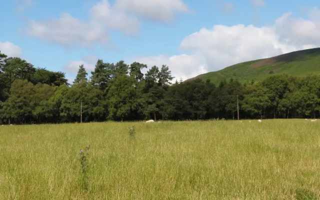 Penymaes