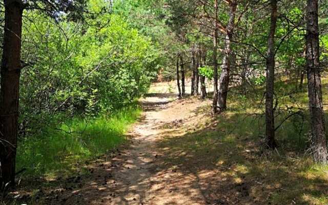 Domki Między Drzewami